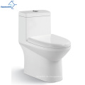 Aquakubisch moderne Bodenmontage zweisteuelhafte Dual -Flush -Keramik -Toilette